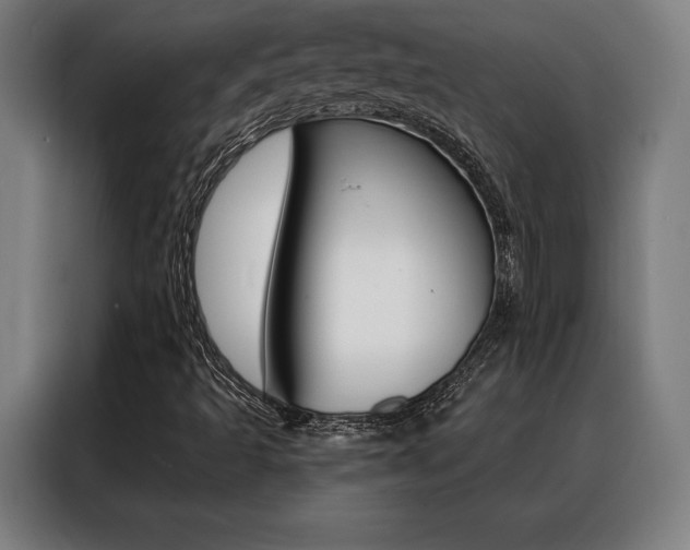 X0000088431493200705220843