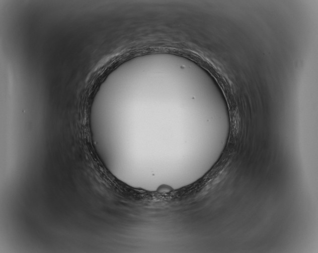 X0000088431494200705220843