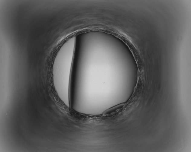 X0000088431496200705220843