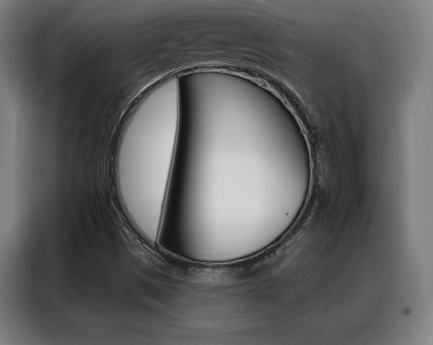 X0000088431497200705220843
