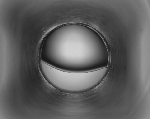 X0000088431500200705220843