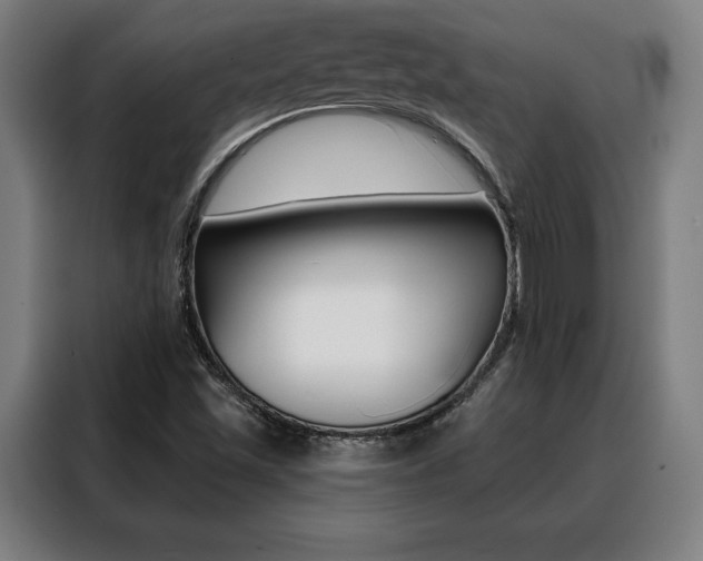 X0000088431501200705220843