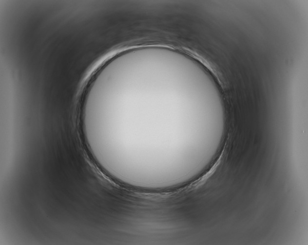 X0000088431502200705220843