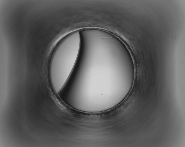 X0000088431503200705220843