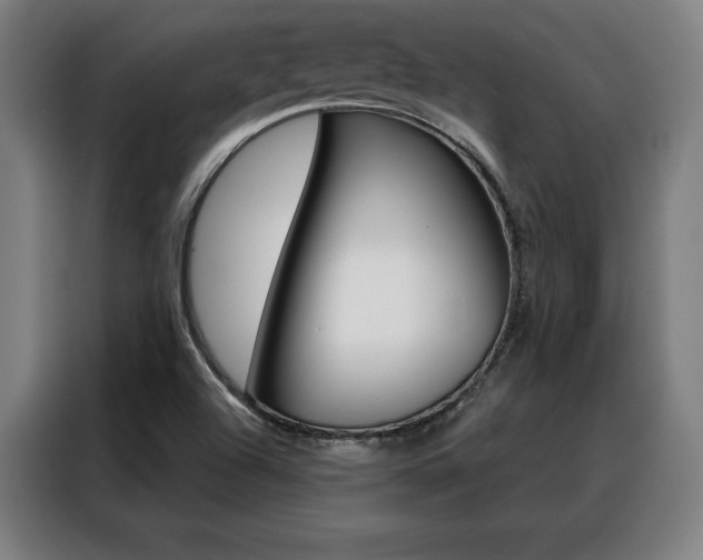 X0000088431504200705220843