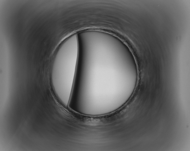 X0000088431505200705220843