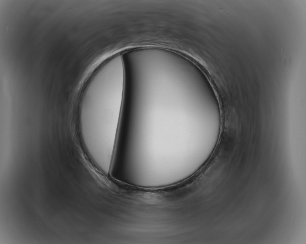 X0000088431507200705220843