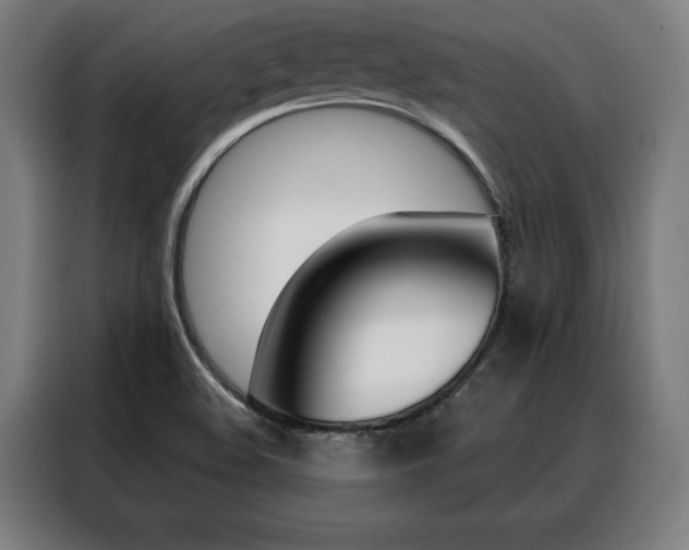 X0000088431508200705220843