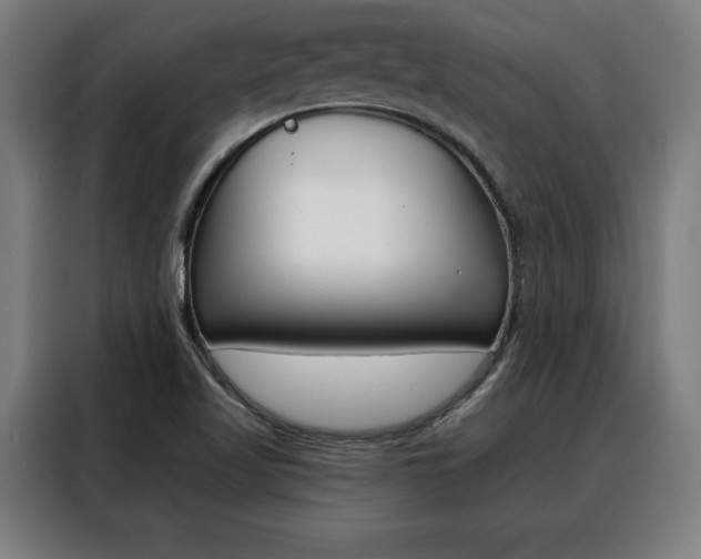 X0000088431509200705220843
