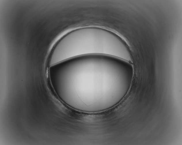 X0000088431510200705220843