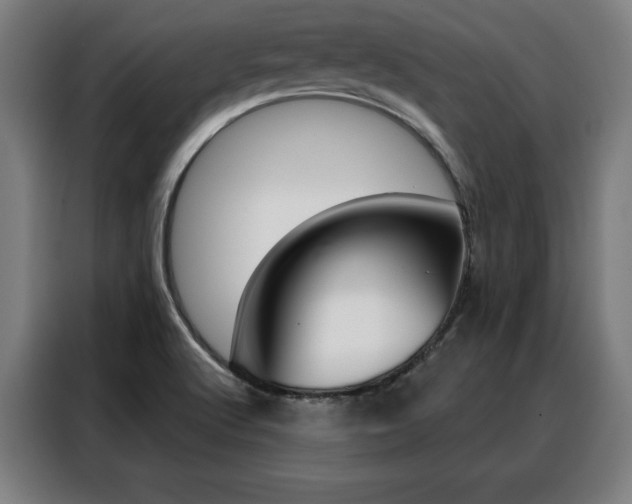 X0000088431512200705220843