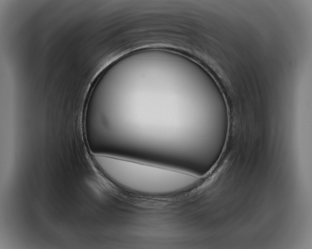 X0000088431513200705220843