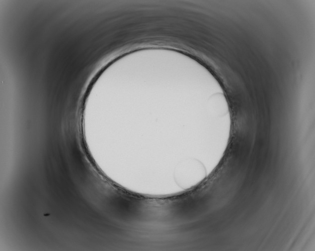 X0000088431514200705220843