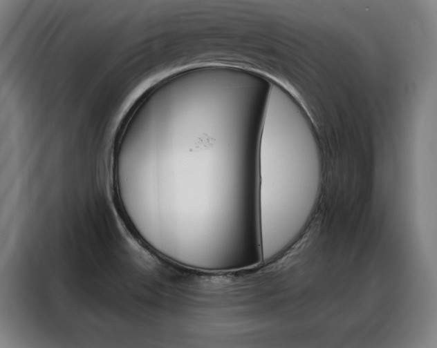 X0000088431515200705220843