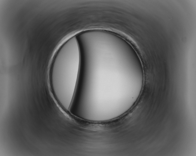 X0000088431517200705220843