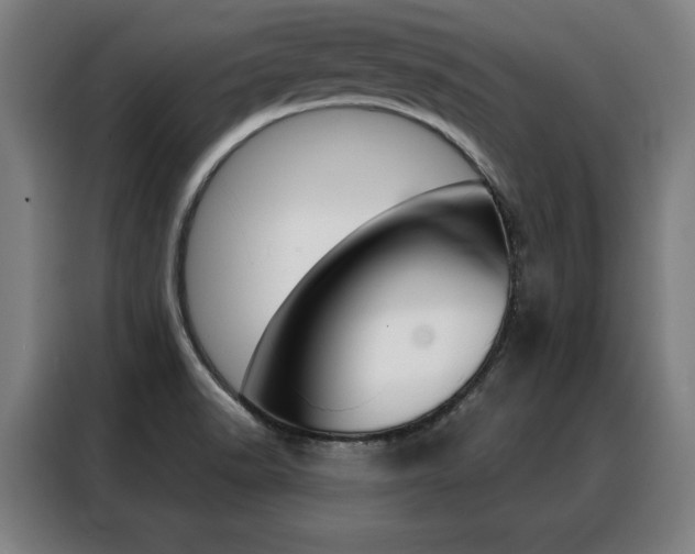 X0000088431518200705220843
