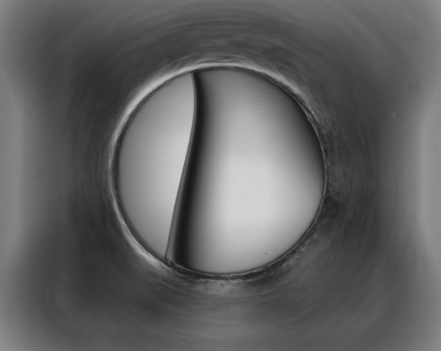 X0000088431519200705220843