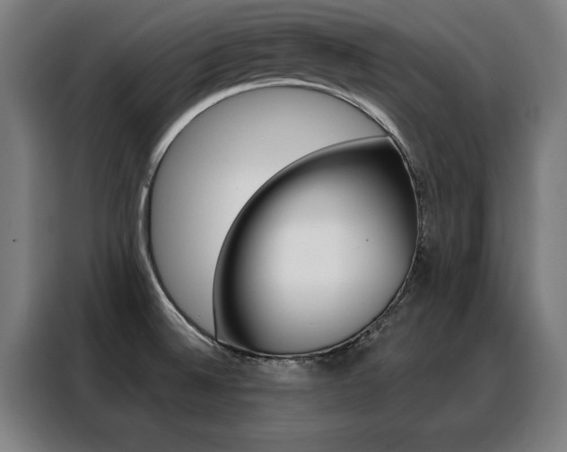 X0000088431524200705220843