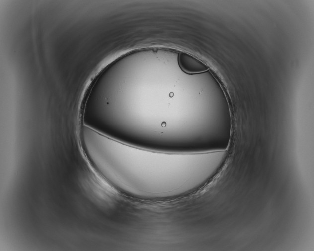 X0000088431525200705220843
