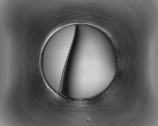 X0000088431527200705220843