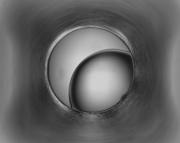 X0000088431528200705220843