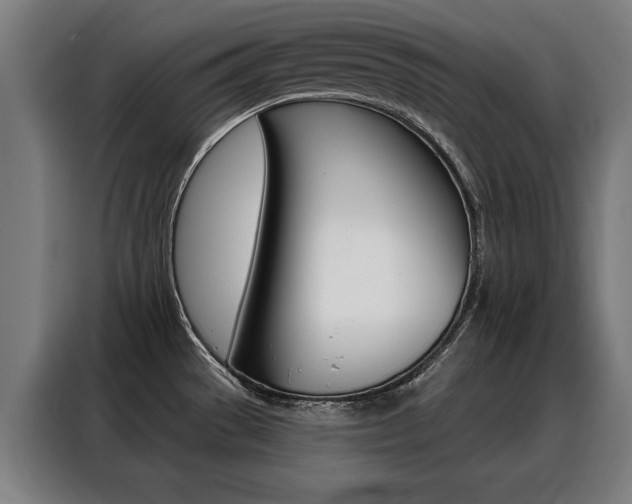 X0000088431529200705220843