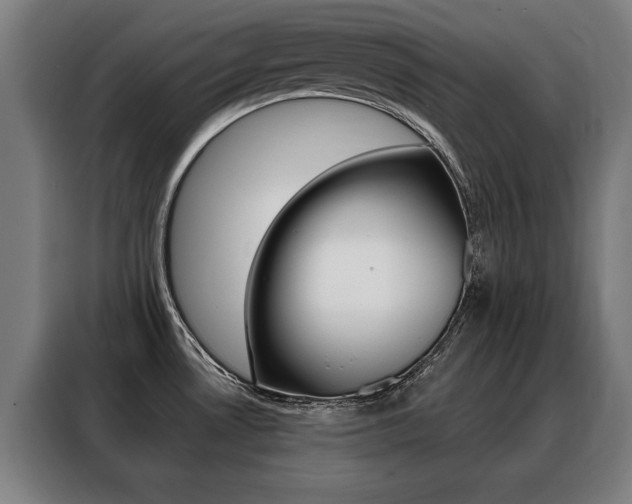 X0000088431530200705220843