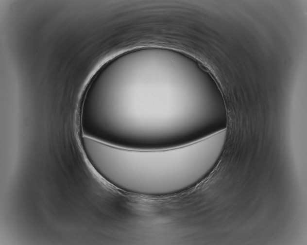 X0000088431531200705220843