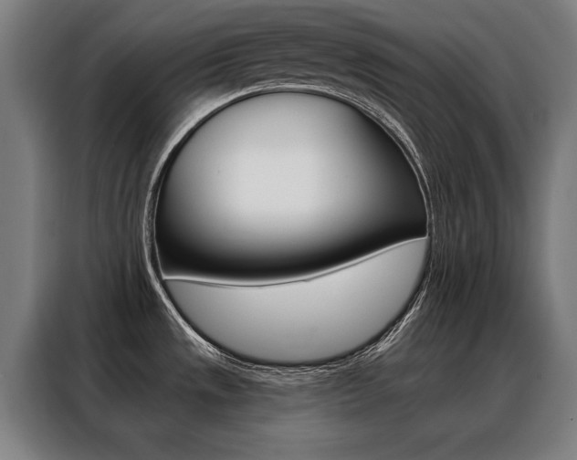 X0000088431533200705220844