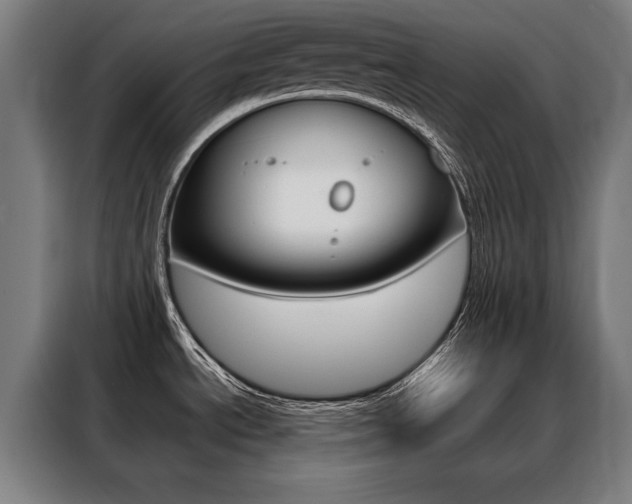 X0000088431534200705220844