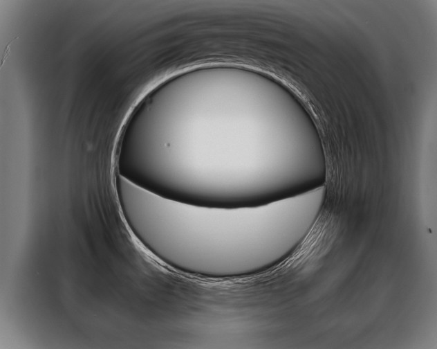 X0000088431535200705220844