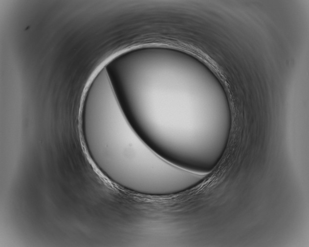 X0000088431536200705220844