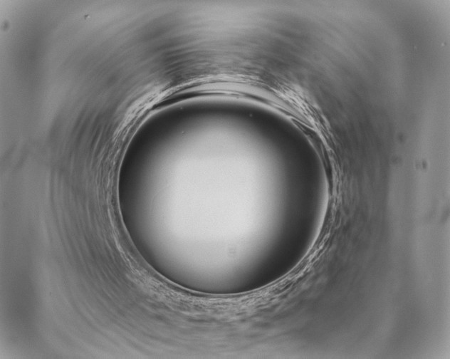 X0000088430001200705221259