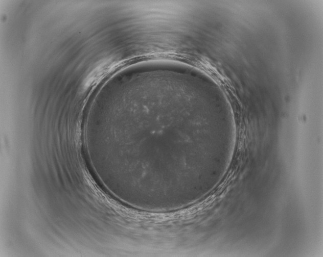 X0000088430002200705221259