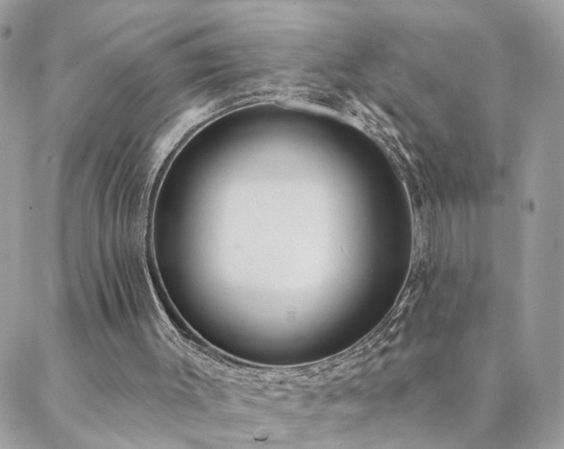 X0000088430003200705221259