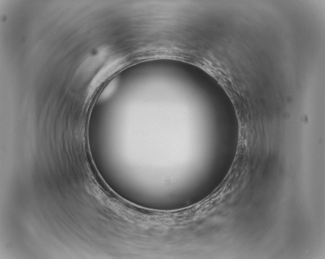 X0000088430004200705221259