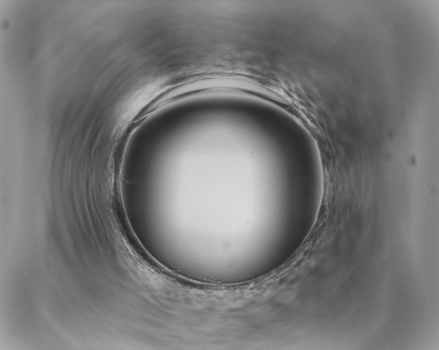 X0000088430005200705221259