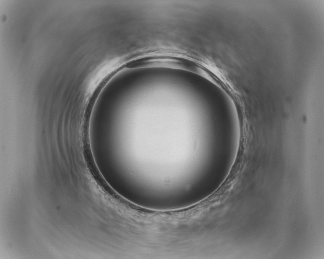 X0000088430007200705221259