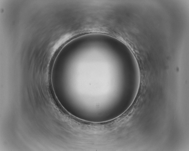 X0000088430008200705221259