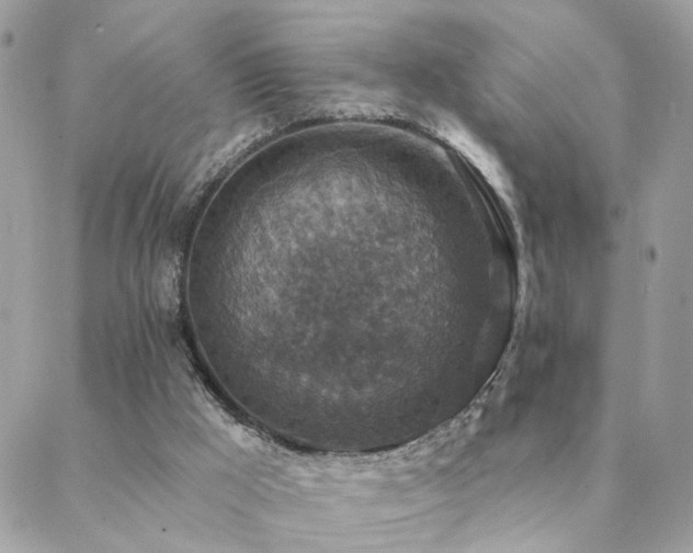 X0000088430009200705221259