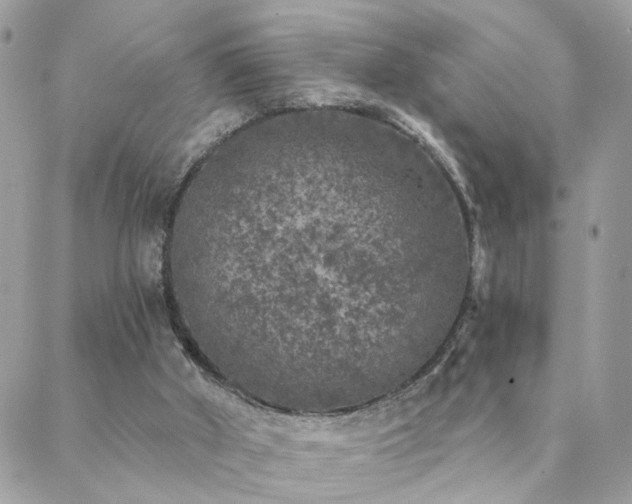 X0000088430010200705221259