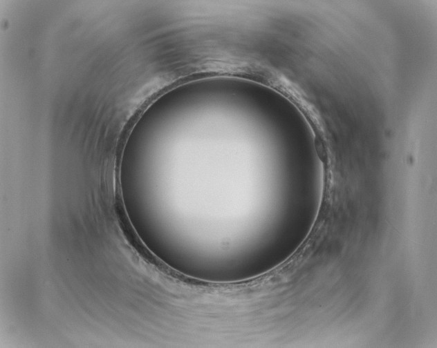 X0000088430011200705221259