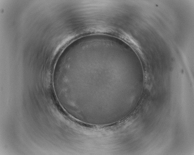 X0000088430012200705221259