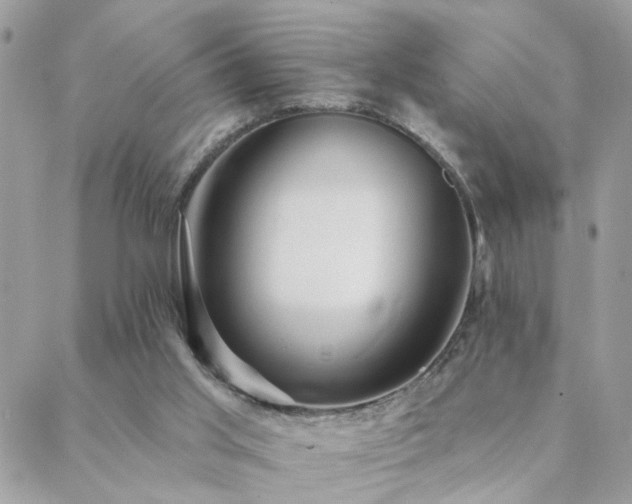 X0000088430013200705221259