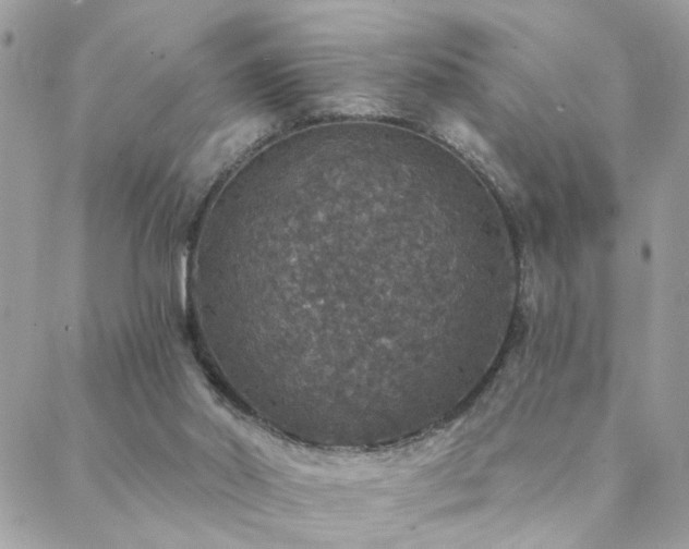 X0000088430014200705221259