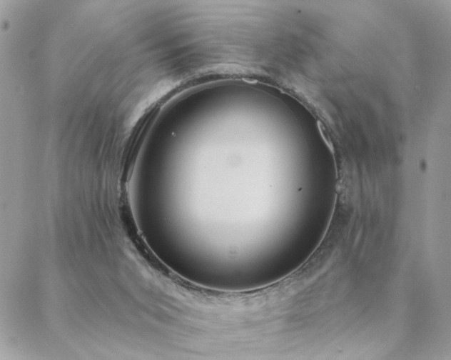 X0000088430015200705221258