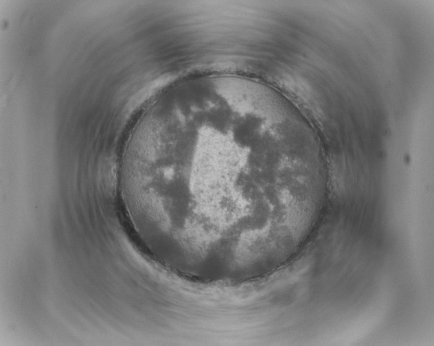 X0000088430016200705221258