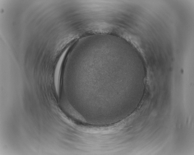 X0000088430017200705221258