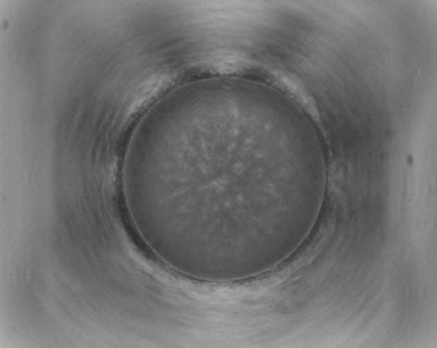 X0000088430018200705221258