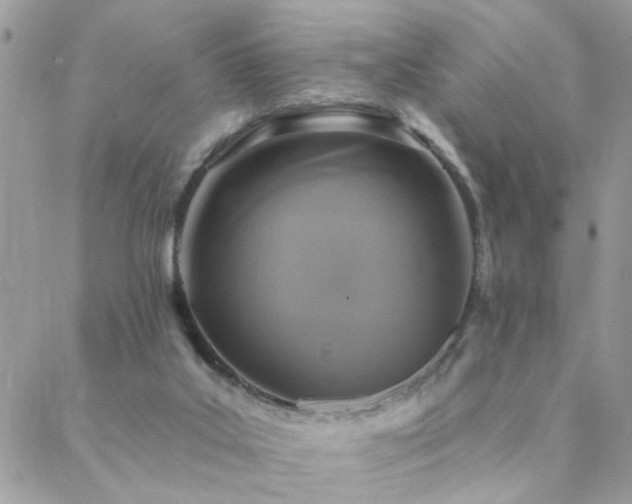 X0000088430019200705221258